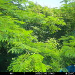 Jul 2 2025 12:00:31, #01