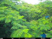 Jul 2 2025 15:00:32, #01