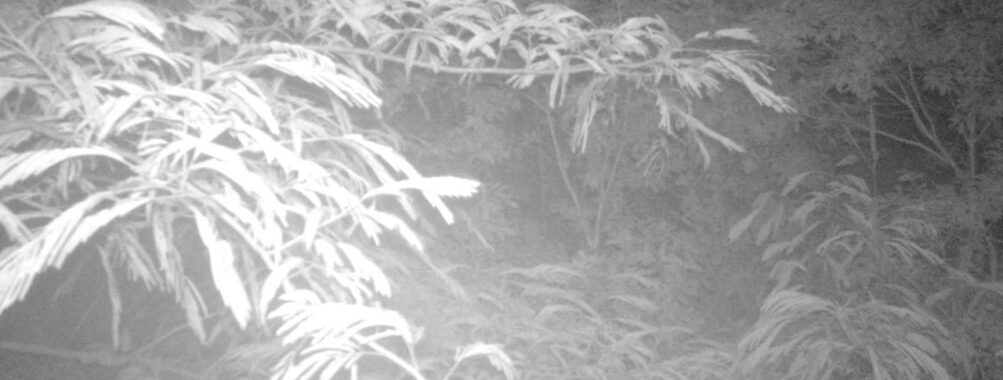 Jul 3 2025  0:00:31, #01