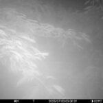 Jul 3 2025  3:00:31, #01