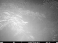 Jul 3 2025  3:00:31, #01