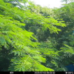 Jul 3 2025  9:00:32, #01