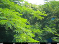 Jul 3 2025  9:00:32, #01