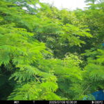 Jul 3 2025 12:00:31, #01