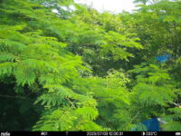 Jul 3 2025 12:00:31, #01