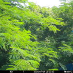 Jul 4 2025  9:00:32, #01