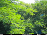 Jul 4 2025  9:00:32, #01