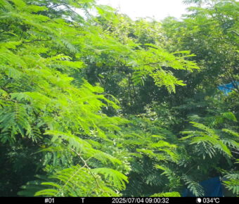 Jul 4 2025  9:00:32, #01