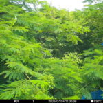 Jul 4 2025 12:00:30, #01