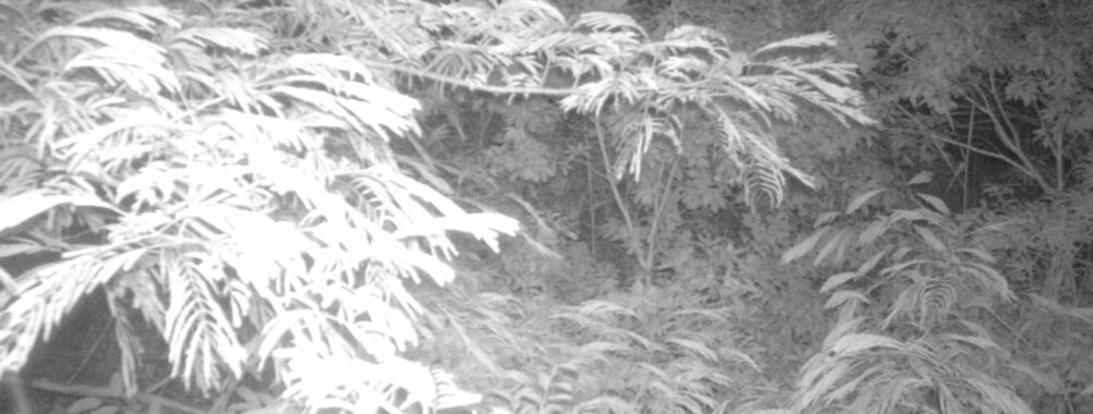 Jul 5 2025  3:00:31, #01