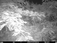 Jul 5 2025  3:00:31, #01