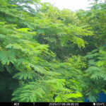 Jul 5 2025  6:00:32, #01