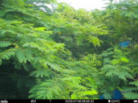 Jul 5 2025  6:00:32, #01