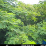 Jul 5 2025  9:00:32, #01