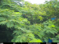 Jul 5 2025  9:00:32, #01