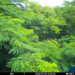 Jul 5 2025 12:00:31, #01