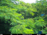 Jul 5 2025 12:00:31, #01