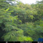 Jul 5 2025 15:00:31, #01