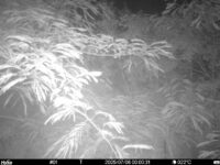 Jul 6 2025  0:00:31, #01