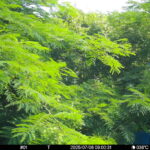 Jul 6 2025  9:00:31, #01