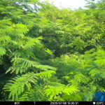 Jul 6 2025 15:00:31, #01