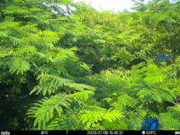 Jul 6 2025 15:00:31, #01