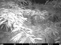 Jul 7 2025  0:00:31, #01