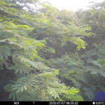 Jul 7 2025  6:00:32, #01