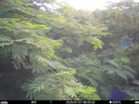 Jul 7 2025  6:00:32, #01