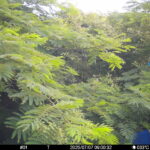 Jul 7 2025  9:00:32, #01