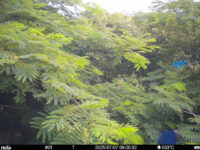 Jul 7 2025  9:00:32, #01