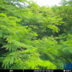 Jul 7 2025 12:00:32, #01