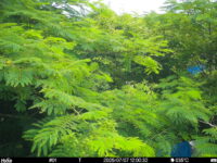 Jul 7 2025 12:00:32, #01