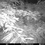 Jul 8 2025  0:00:32, #01