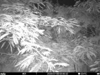 Jul 8 2025  0:00:32, #01