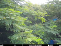 Jul 8 2025  6:00:32, #01