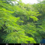 Jul 8 2025  9:00:31, #01