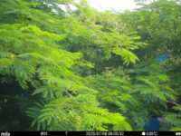 Jul 8 2025  9:00:31, #01