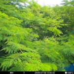 Jul 8 2025 12:00:32, #01