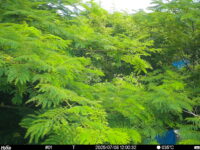 Jul 8 2025 12:00:32, #01
