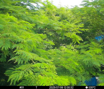 Jul 8 2025 12:00:32, #01