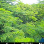 Jul 8 2025 15:00:31, #01