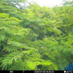 Jul 8 2025 18:00:31, #01