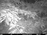 Jul 8 2025 21:00:32, #01