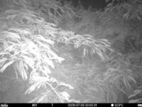 Jul 9 2025  0:00:31, #01