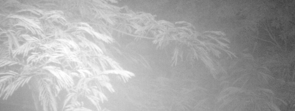 Jul 9 2025  3:00:31, #01