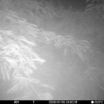 Jul 9 2025  3:00:31, #01