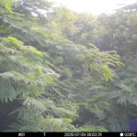 Jul 9 2025  6:00:31, #01
