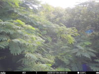 Jul 9 2025  6:00:31, #01