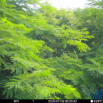 Jul 9 2025  9:00:31, #01